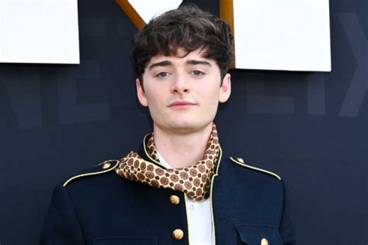 Remy Hii Sexuality: Is He Gay Or Married? Net Worth And Family Details