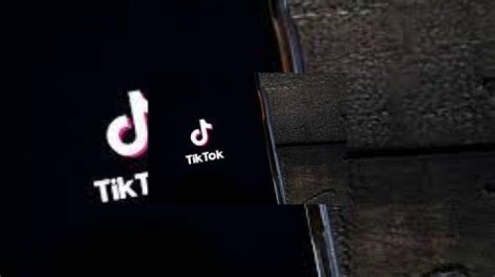 Who Is Youcantfindalex? TikTok Star Real Name, Family And Mugshot Details
